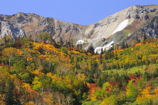 わたすげ湿原から見た山々の紅葉